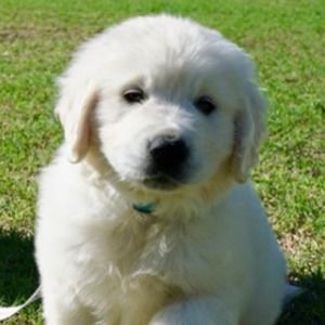 Meet your Posher, Gabrielle